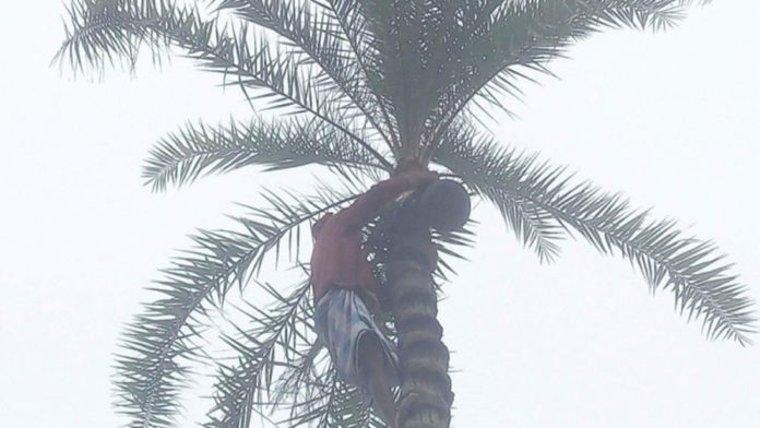 রাঙ্গুনিয়া